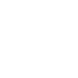 Fayoll Logo